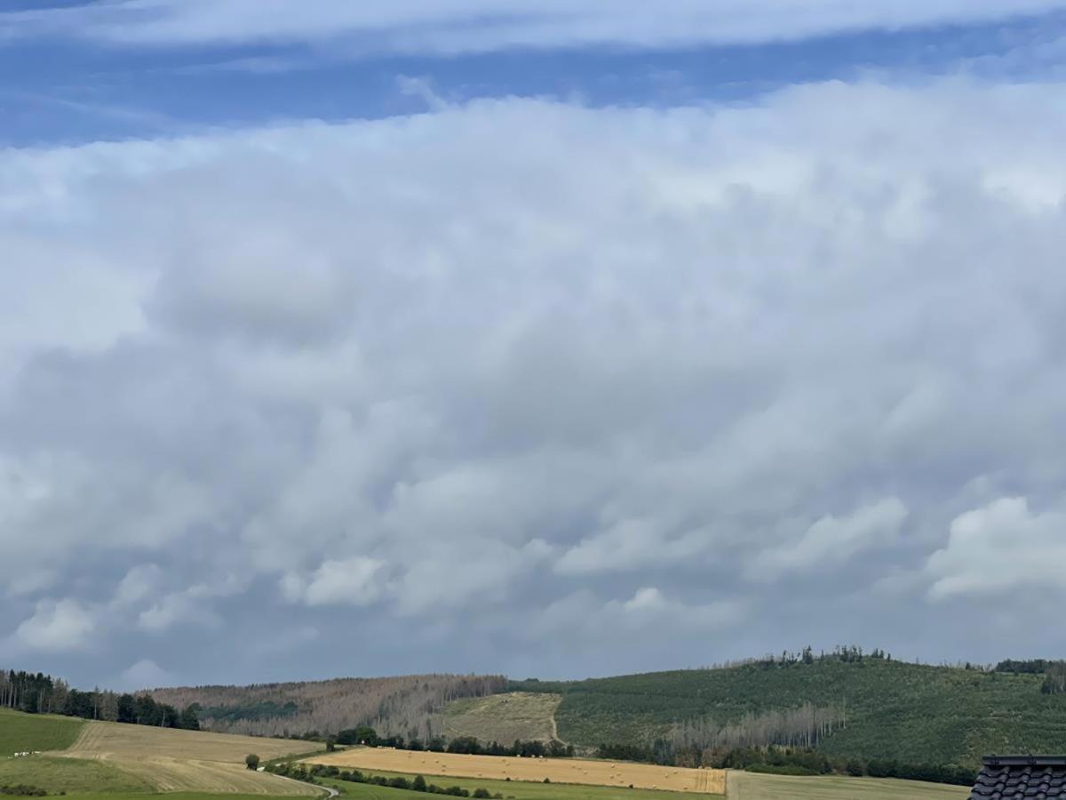 Sonnenweg 48-4 Sauerlandblick Lejlighed Heringhausen Eksteriør billede